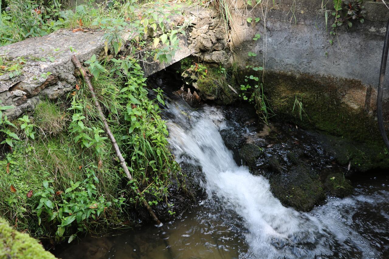مبيت وإفطار Clairefontaine-en-Yvelines Moulin De Vilgris المظهر الخارجي الصورة